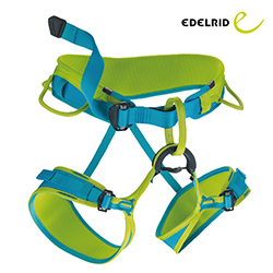 제인 하네스(여성용)